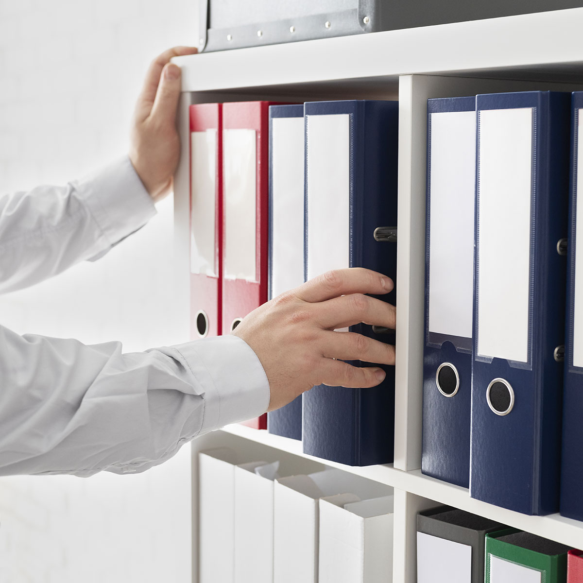 Documentazione rilasciata al cliente relativa all'intervento di derattizzazione