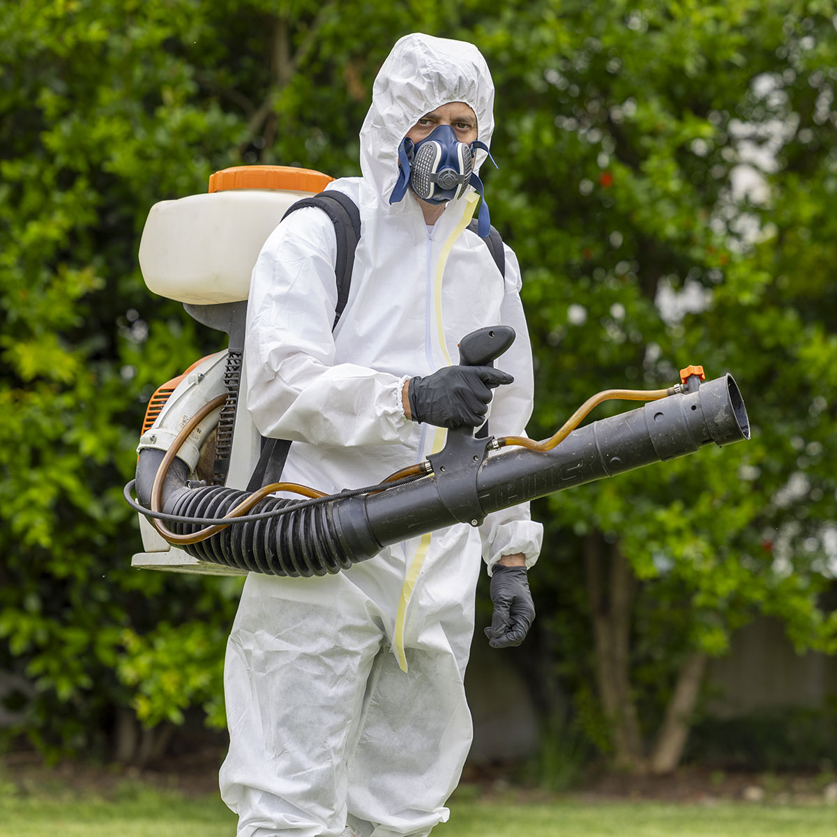 Operatore Filippini Disinfestazioni con atomizzatore spalleggiato